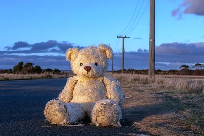 Abandoned Teddy Bear Sitting On A Rural Road
