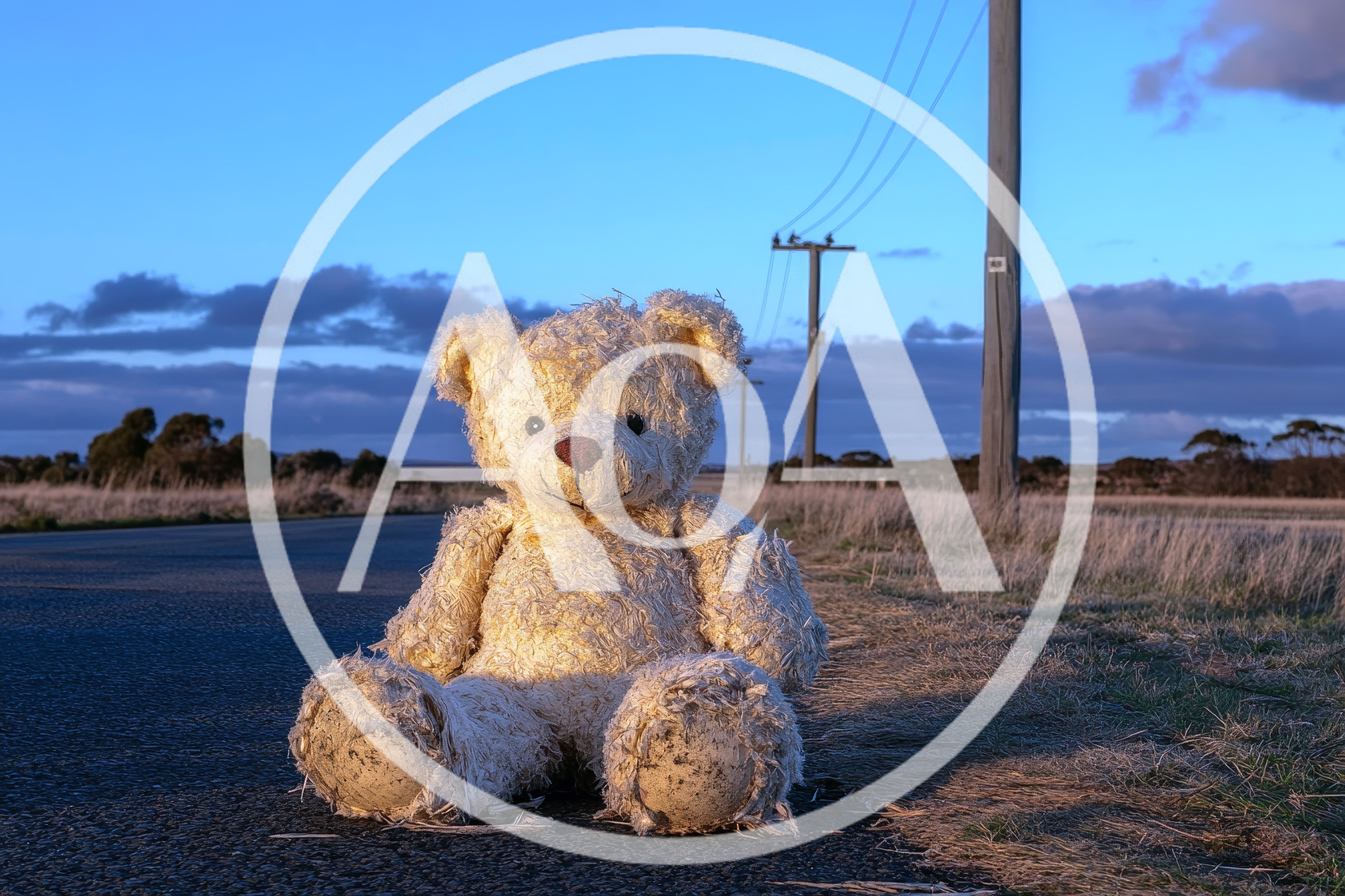 Abandoned Teddy Bear Sitting On A Rural Road