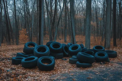 Discarded Car Tires Piled In A Forest Clearing