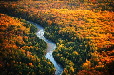 Aerial View Of A Winding River Through Autumn Forest