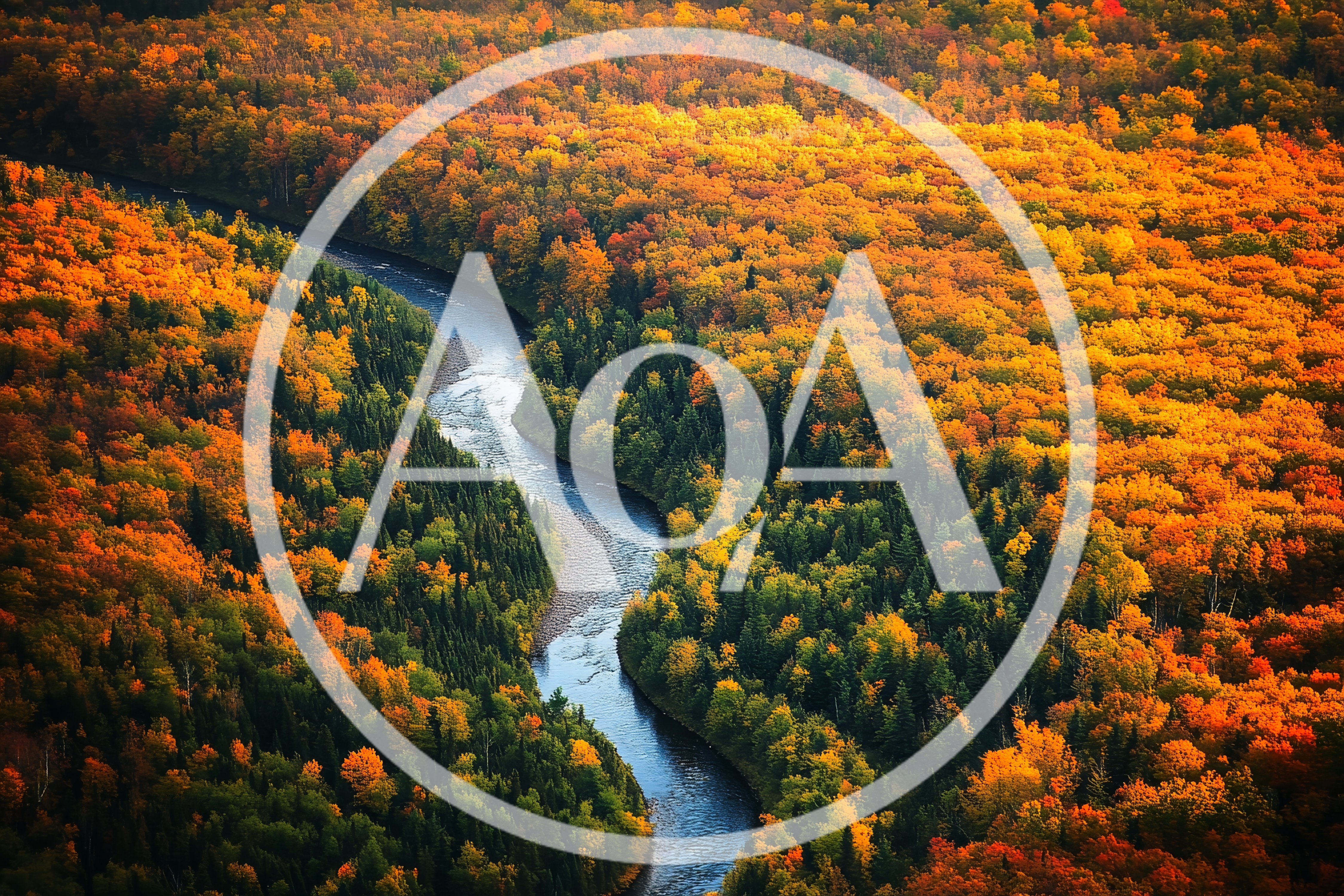 Aerial View Of A Winding River Through Autumn Forest