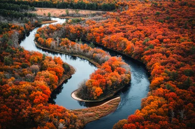 Aerial View Of A Winding River In Autumn
