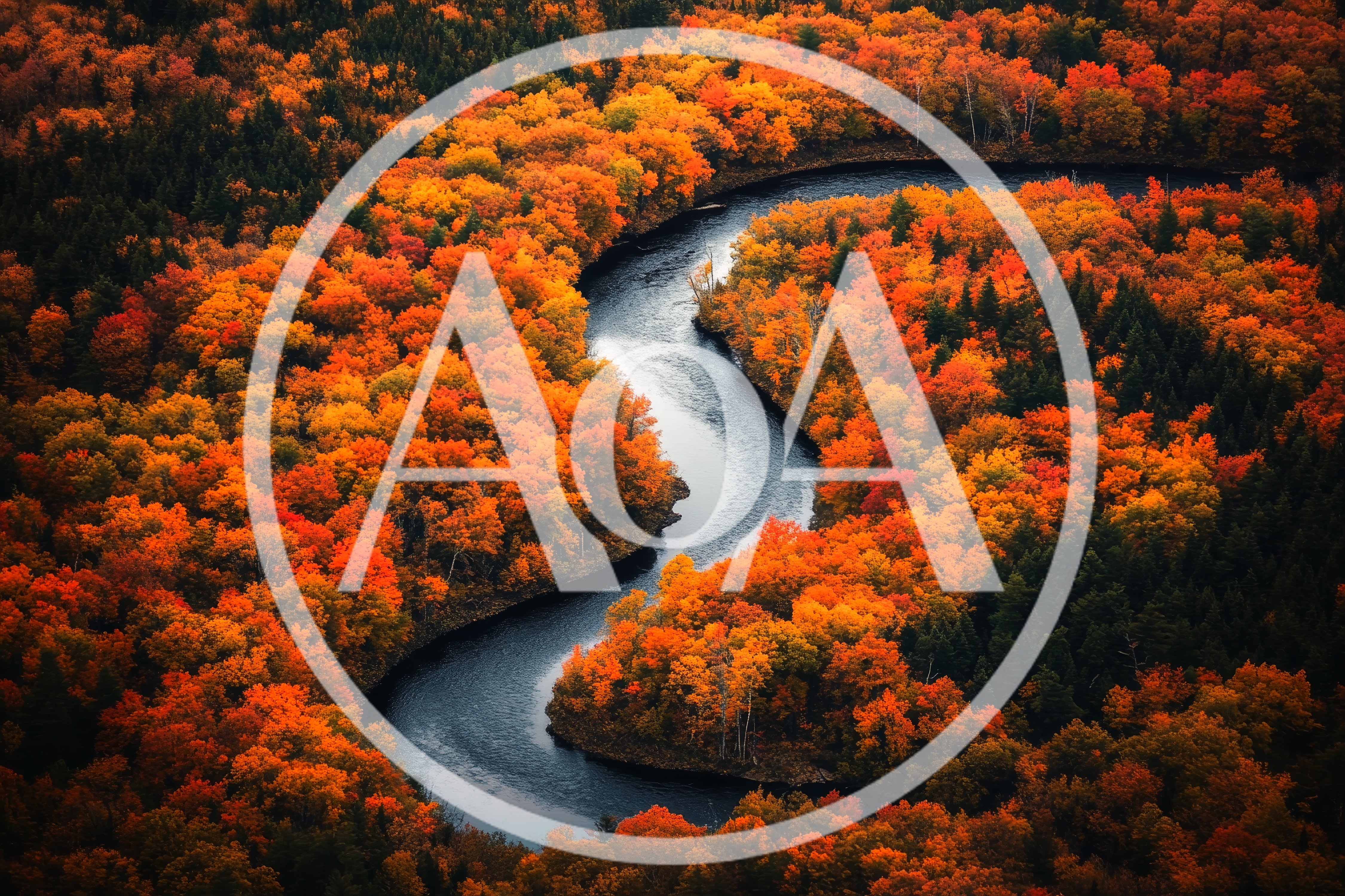 Aerial View Of A Winding River Through Autumn Forest