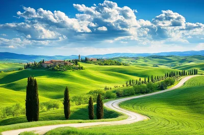 Winding Dirt Road Through Rolling Green Tuscan Hills