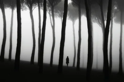 Silhouette Of A Person Walking Through A Foggy Forest