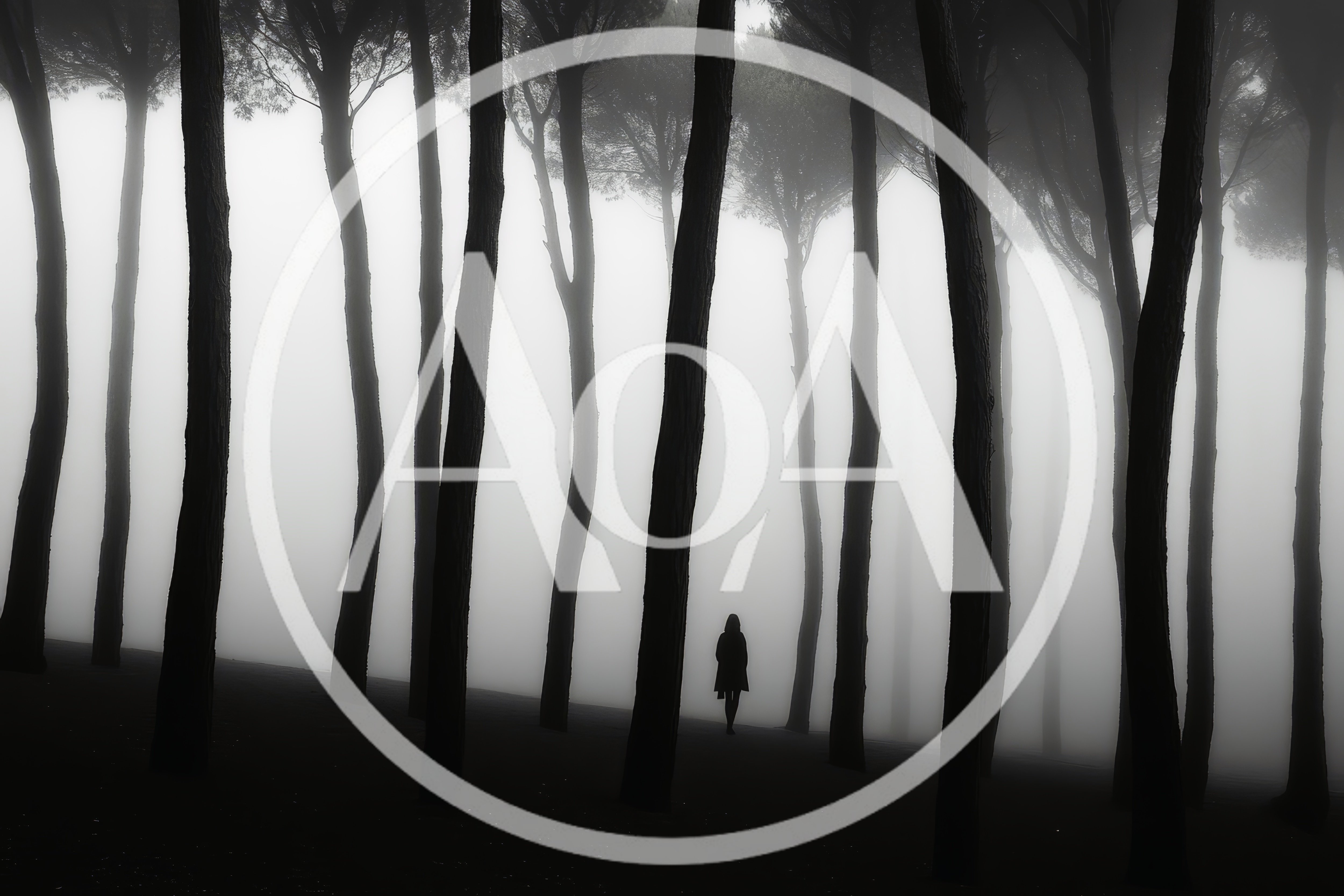 Silhouette Of A Person Walking Through A Foggy Forest