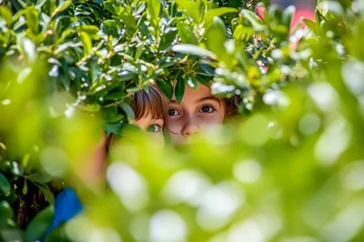 Two Young Girls Peeking Through Green Garden Bushes