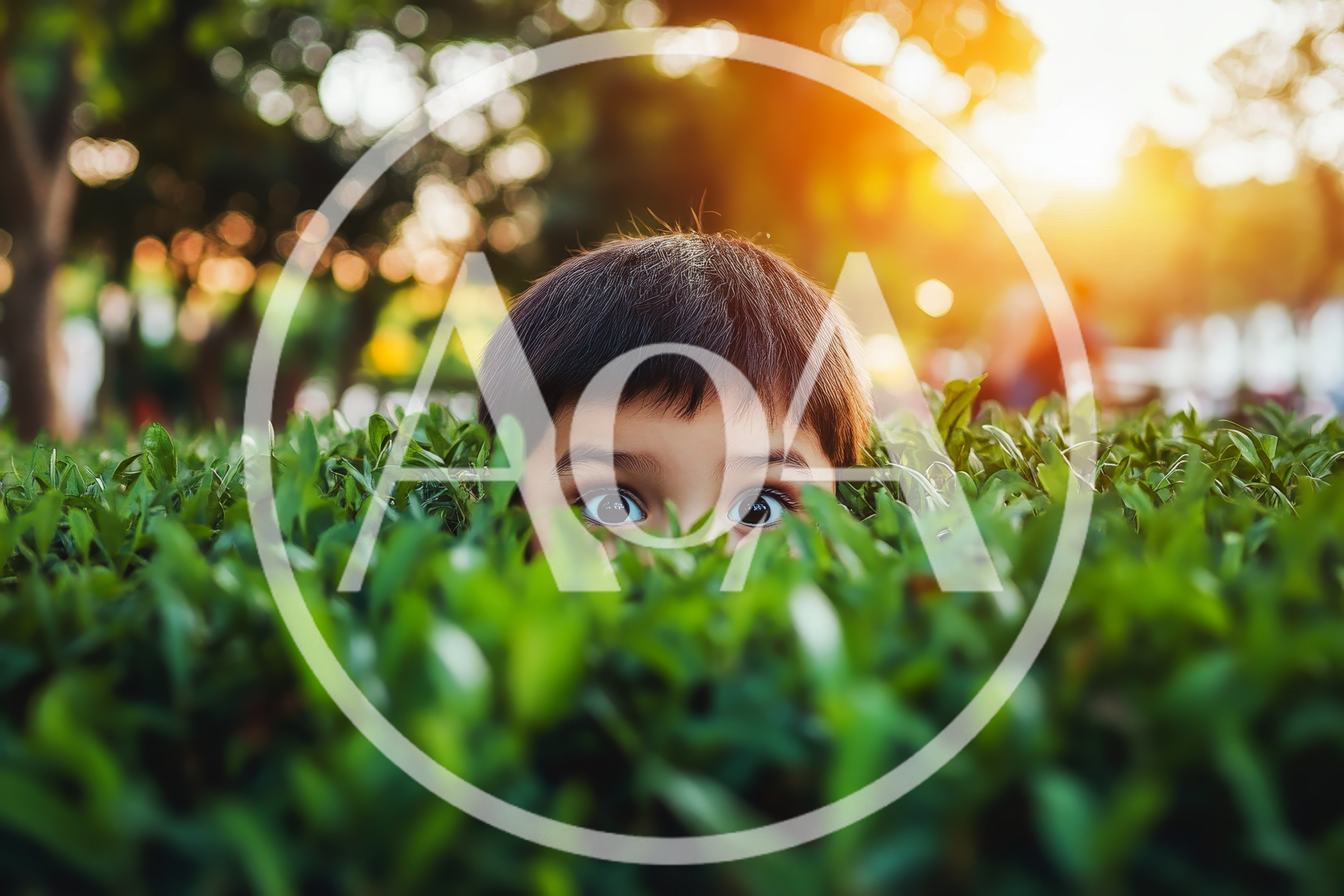 Young Child Peeking Through Green Garden Hedge