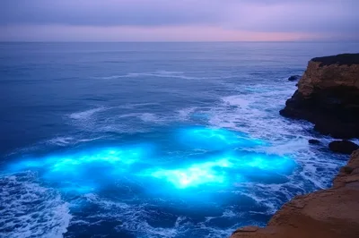 Bioluminescent Waves Crashing Against Coastal Cliffs
