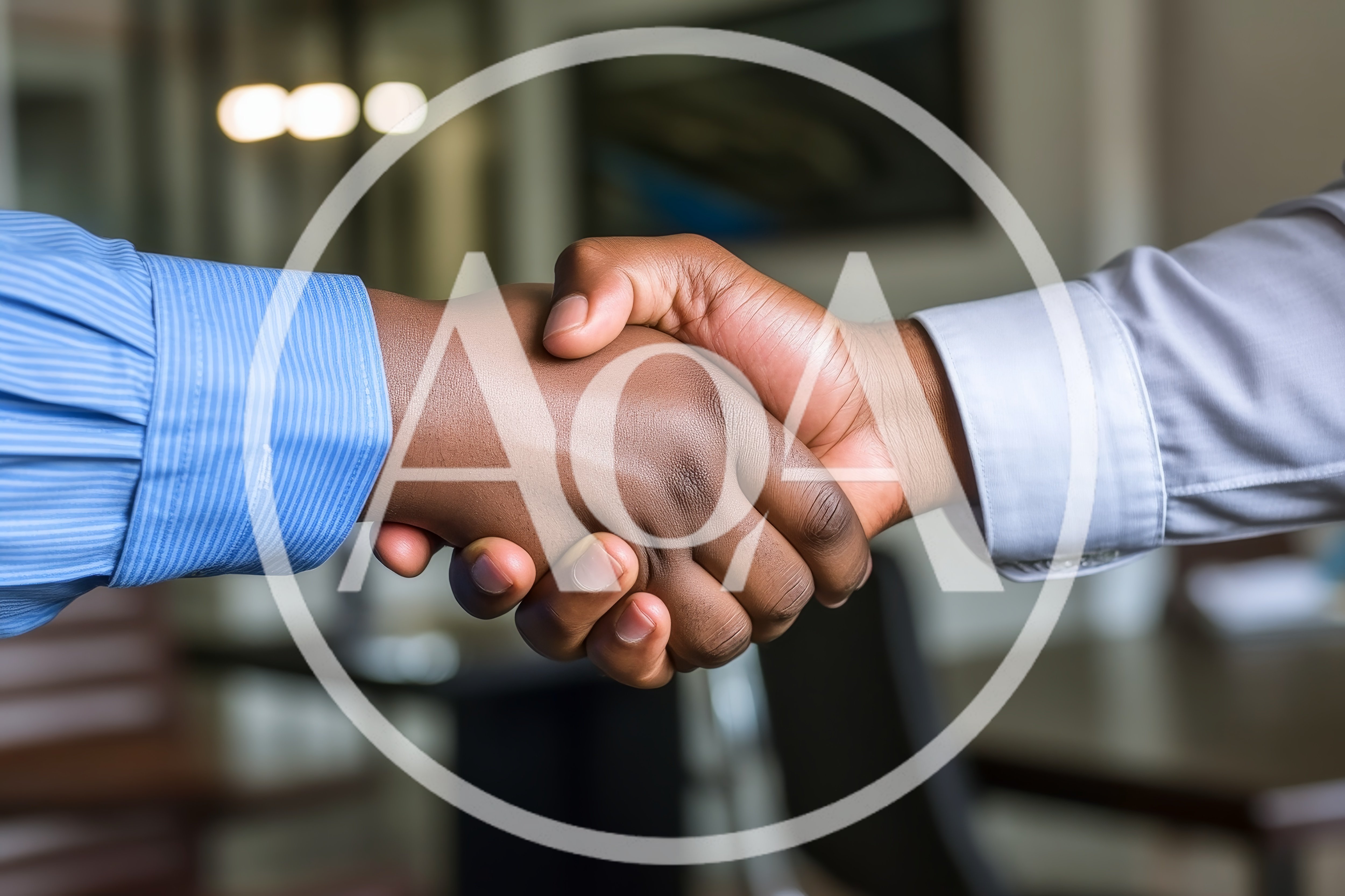 Professional Business Handshake Between Two Men