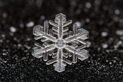 Macro Photography Of A Single Intricate Snowflake