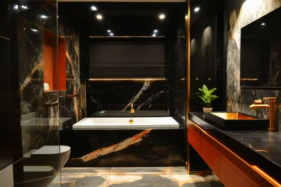 Modern Luxury Bathroom With Black Marble And Gold Accents