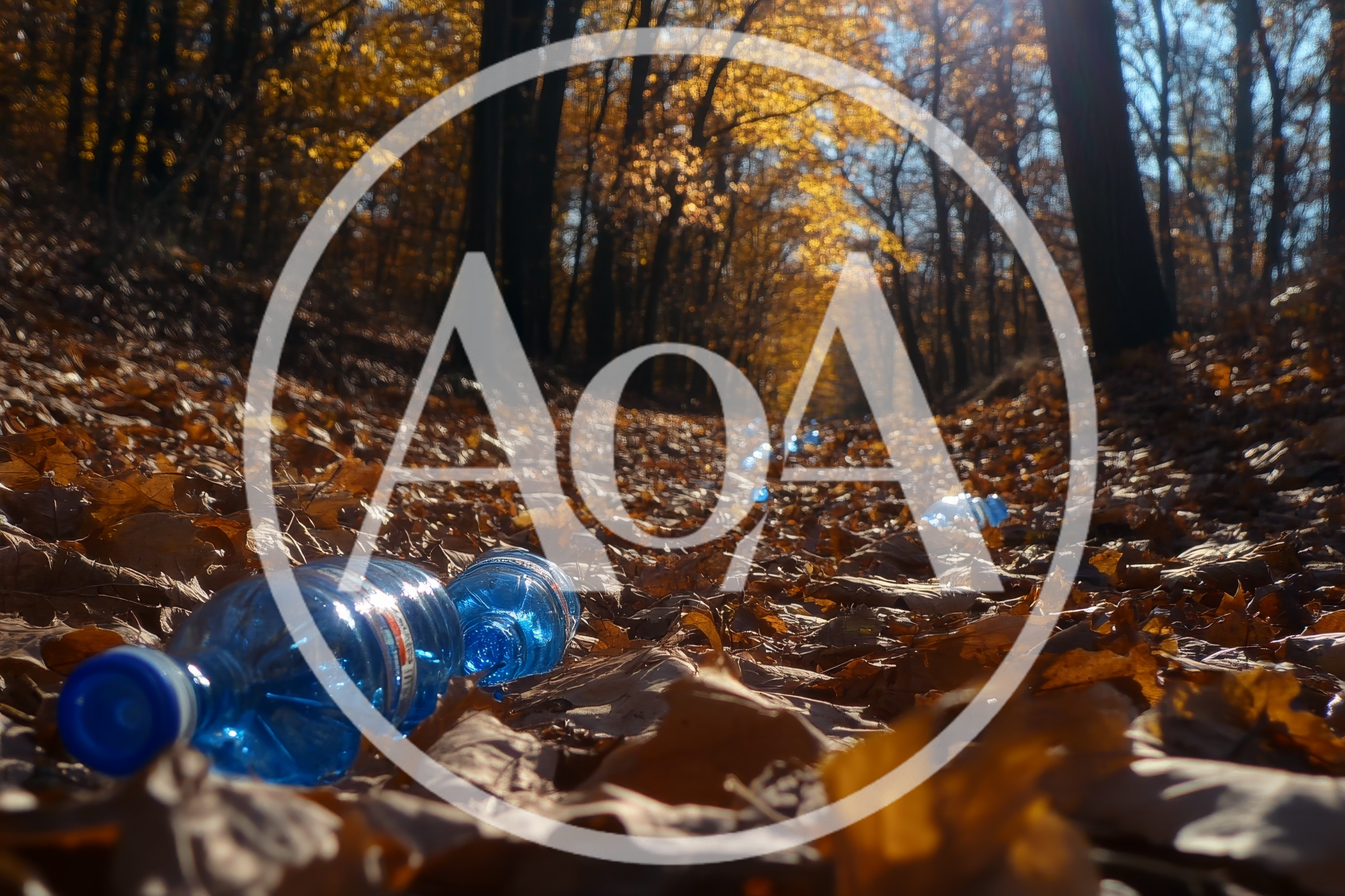 Discarded Plastic Water Bottles Littering A Forest Path