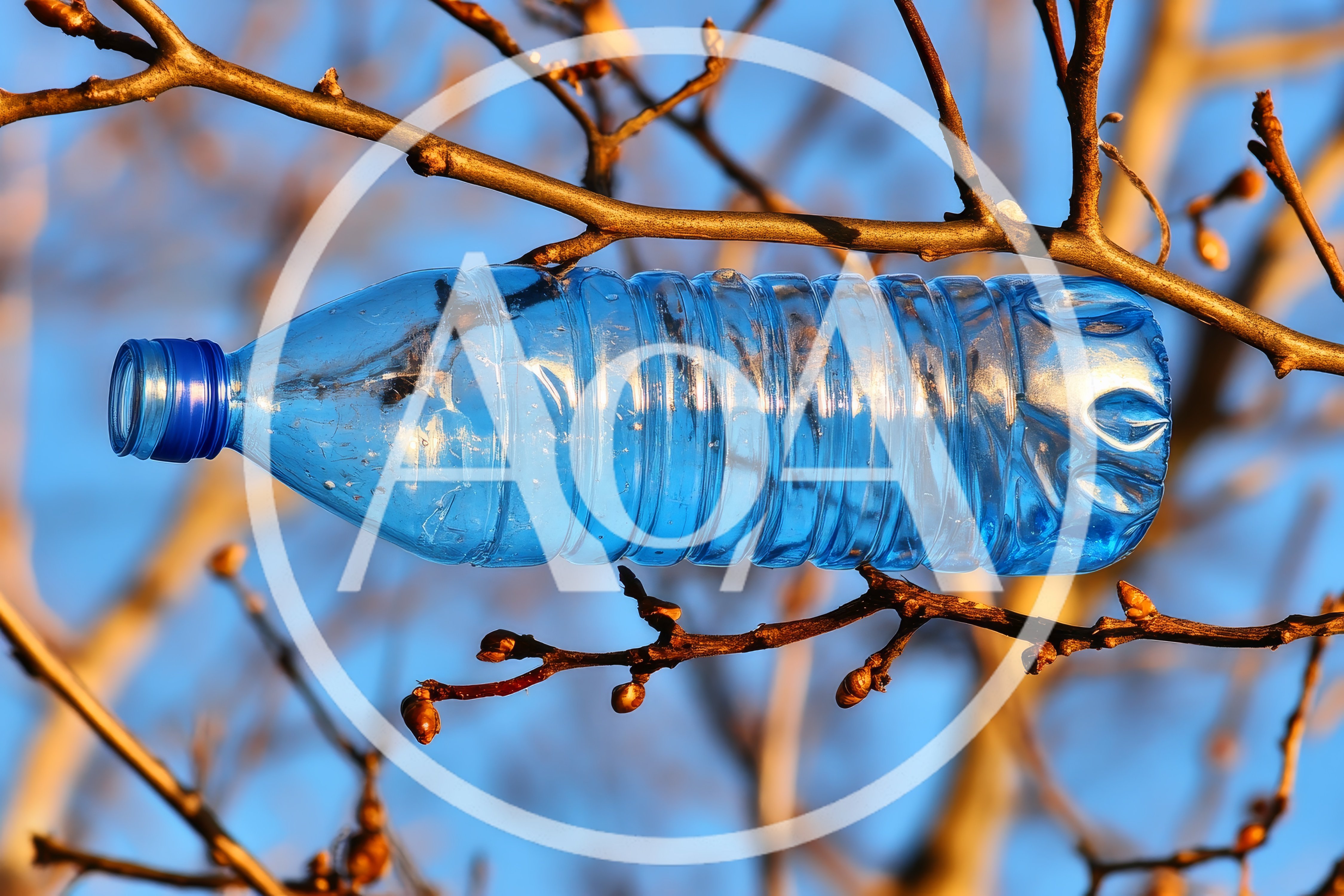 Blue Plastic Bottle Hanging On Tree Branch