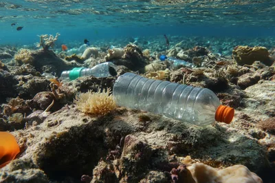 Plastic Bottle Pollution On A Coral Reef
