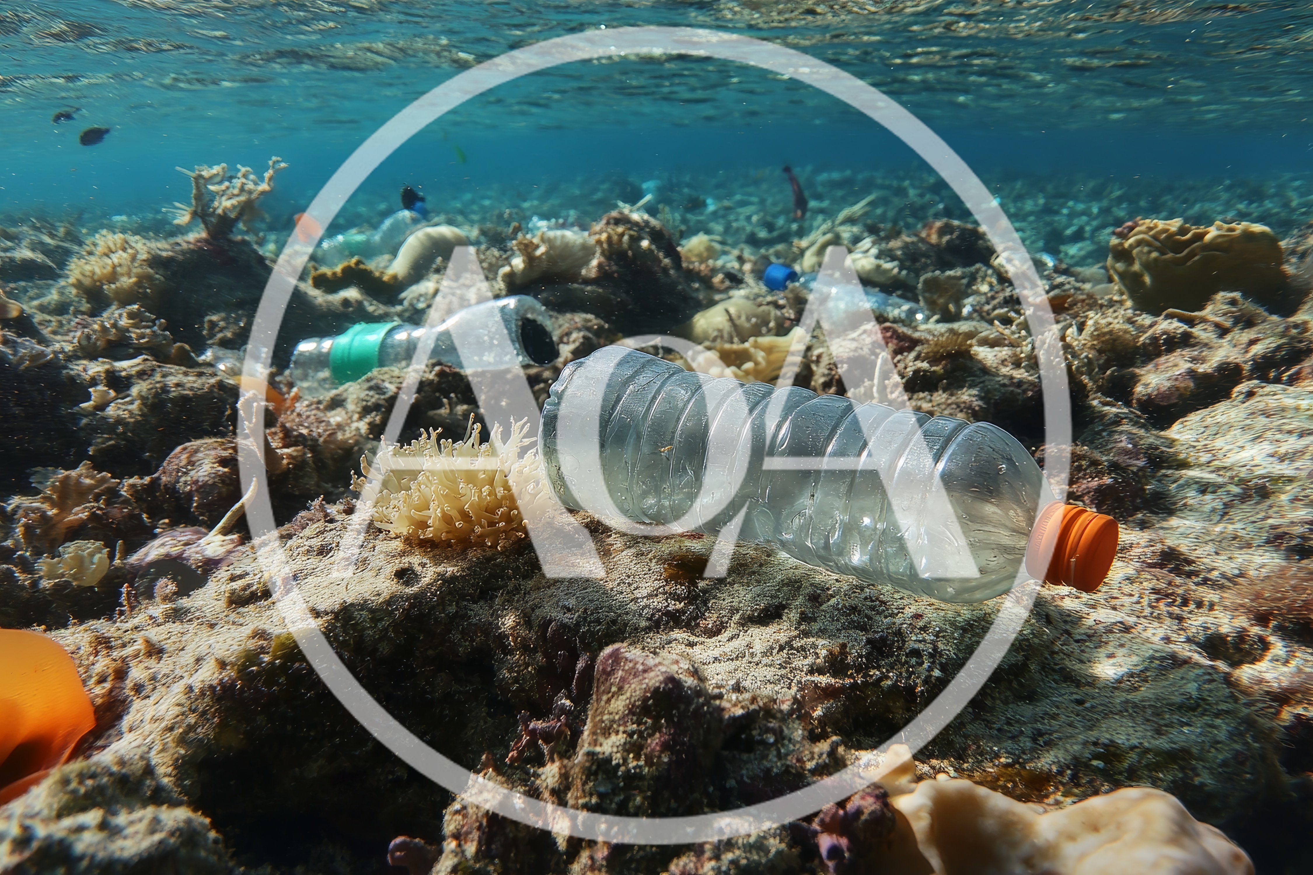 Plastic Bottle Pollution On A Coral Reef