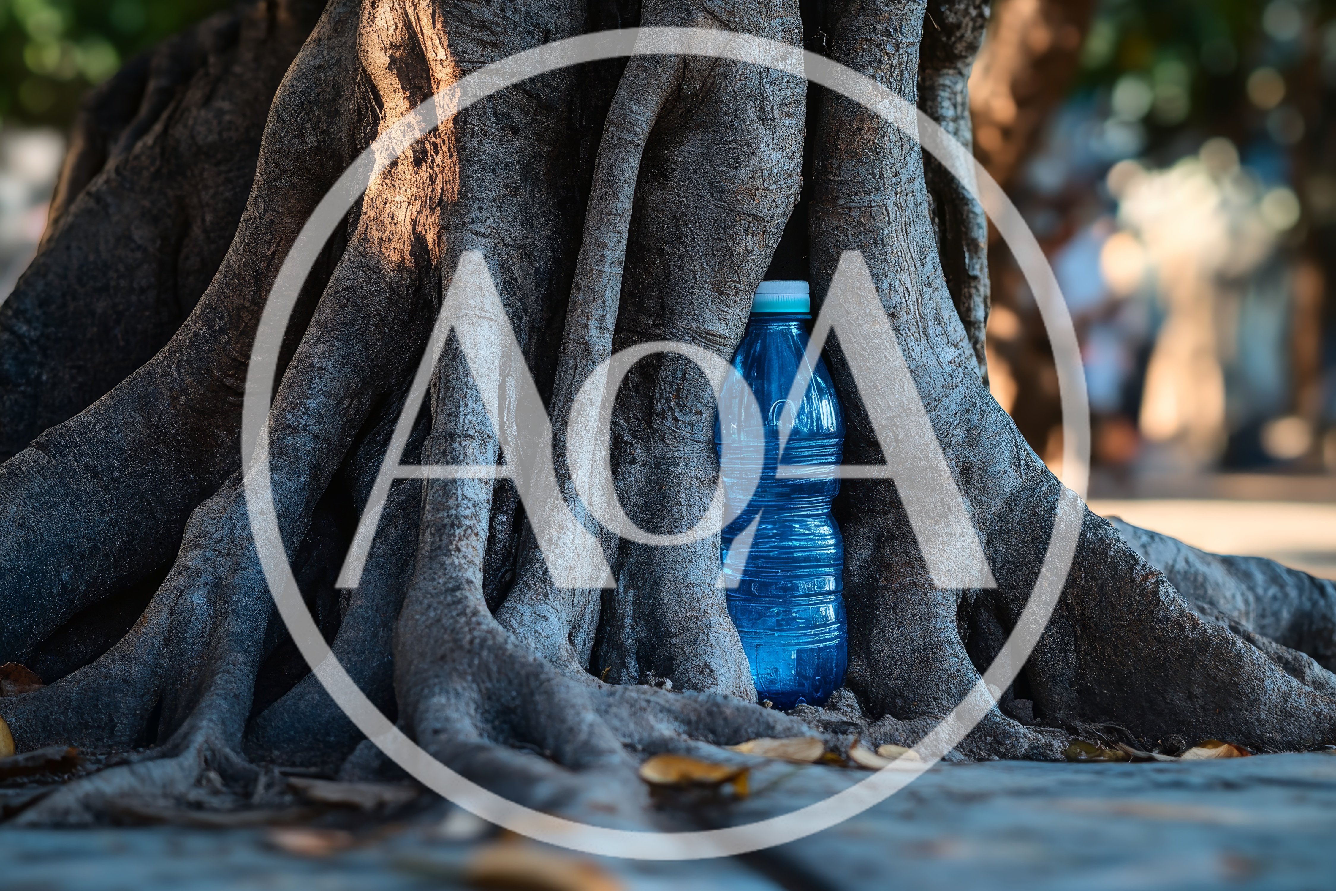 Blue Plastic Water Bottle Nestled Between Tree Roots