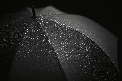 Raindrops On A Black Umbrella Surface