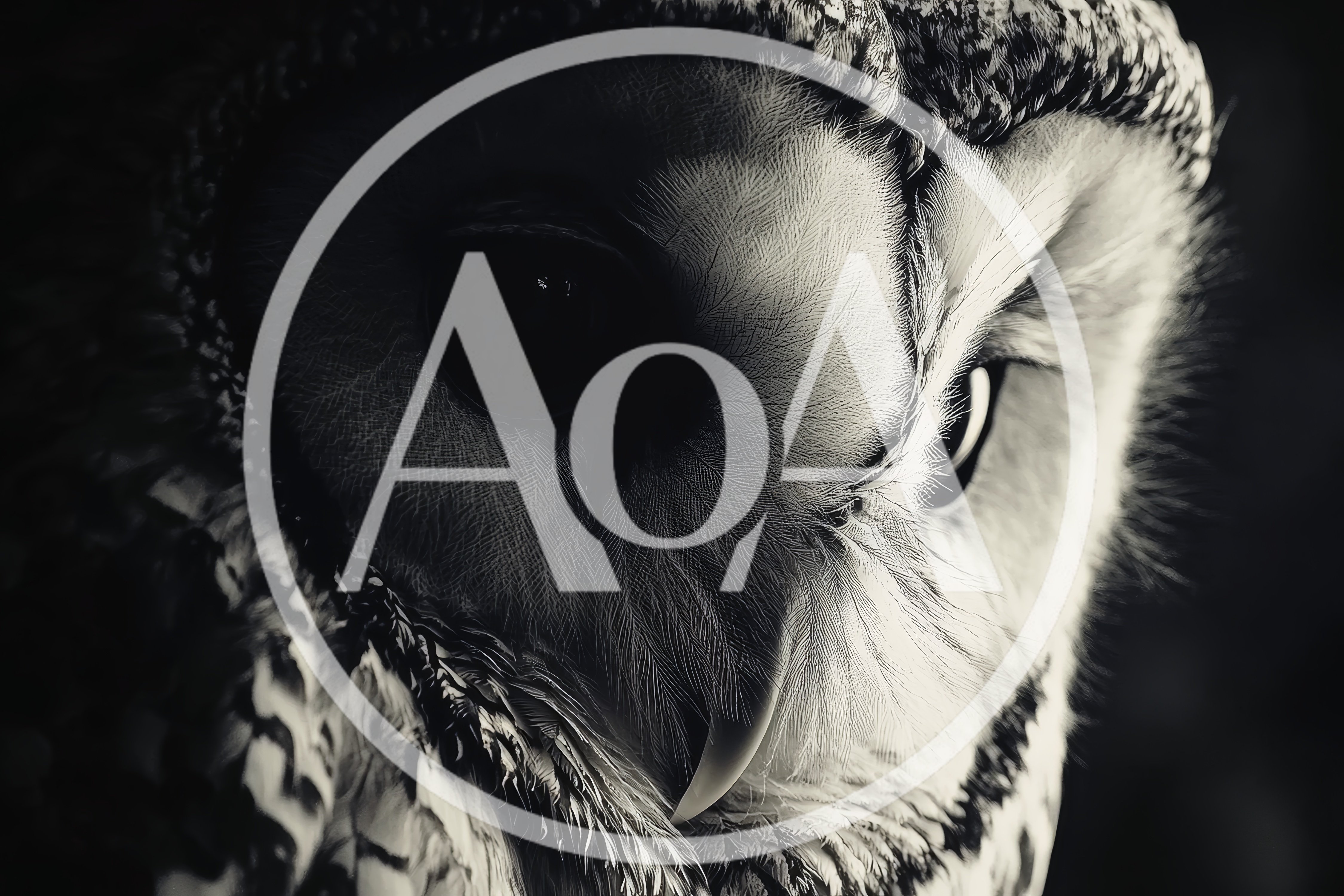 Extreme Close Up Of A Great Horned Owl Face