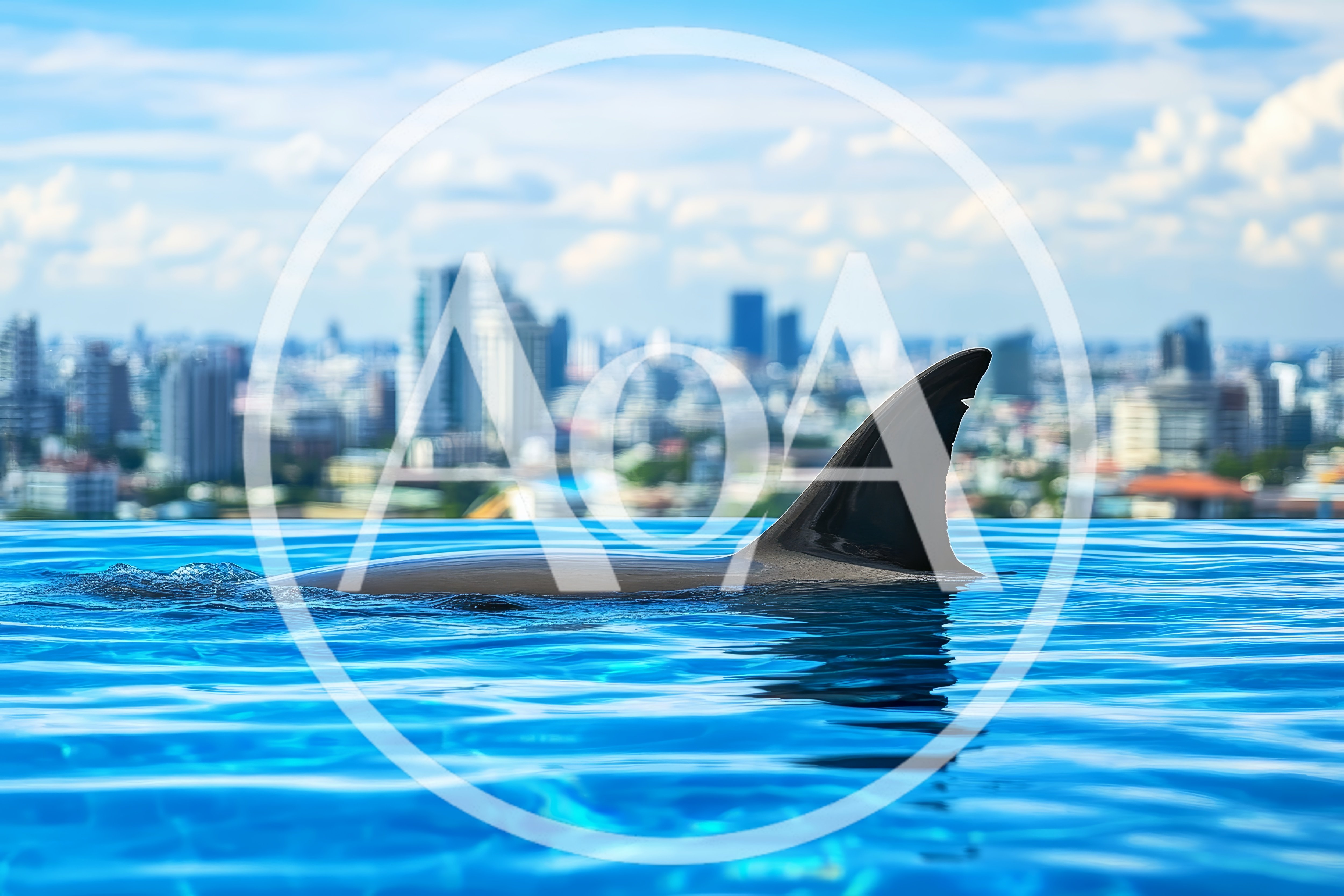 Dolphin Fin Breaking Surface In Rooftop Infinity Pool