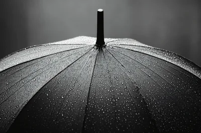 Black Umbrella Covered In Raindrops