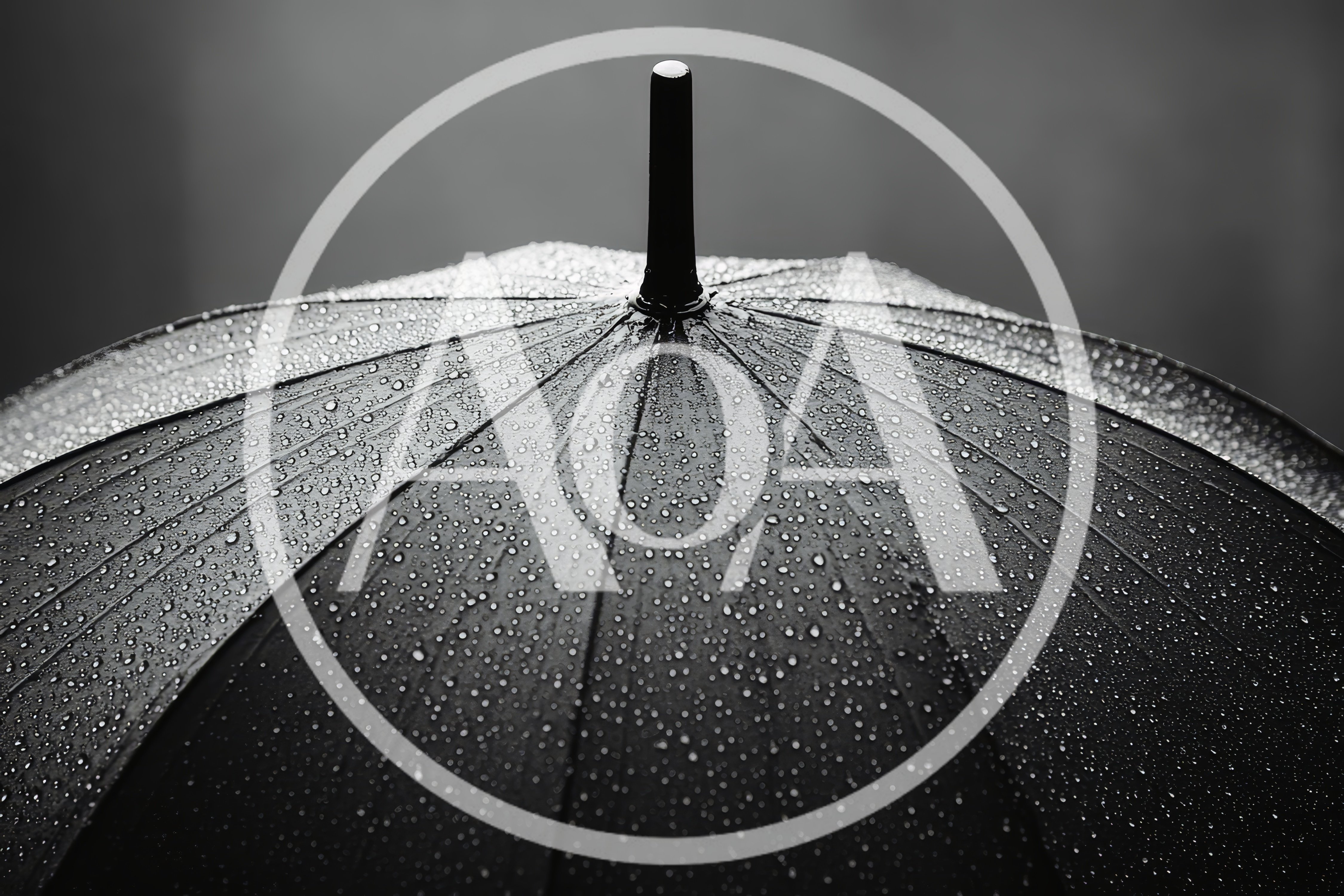 Black Umbrella Covered In Raindrops
