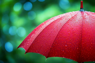 Red Umbrella Covered In Raindrops Against Blurred Green Background