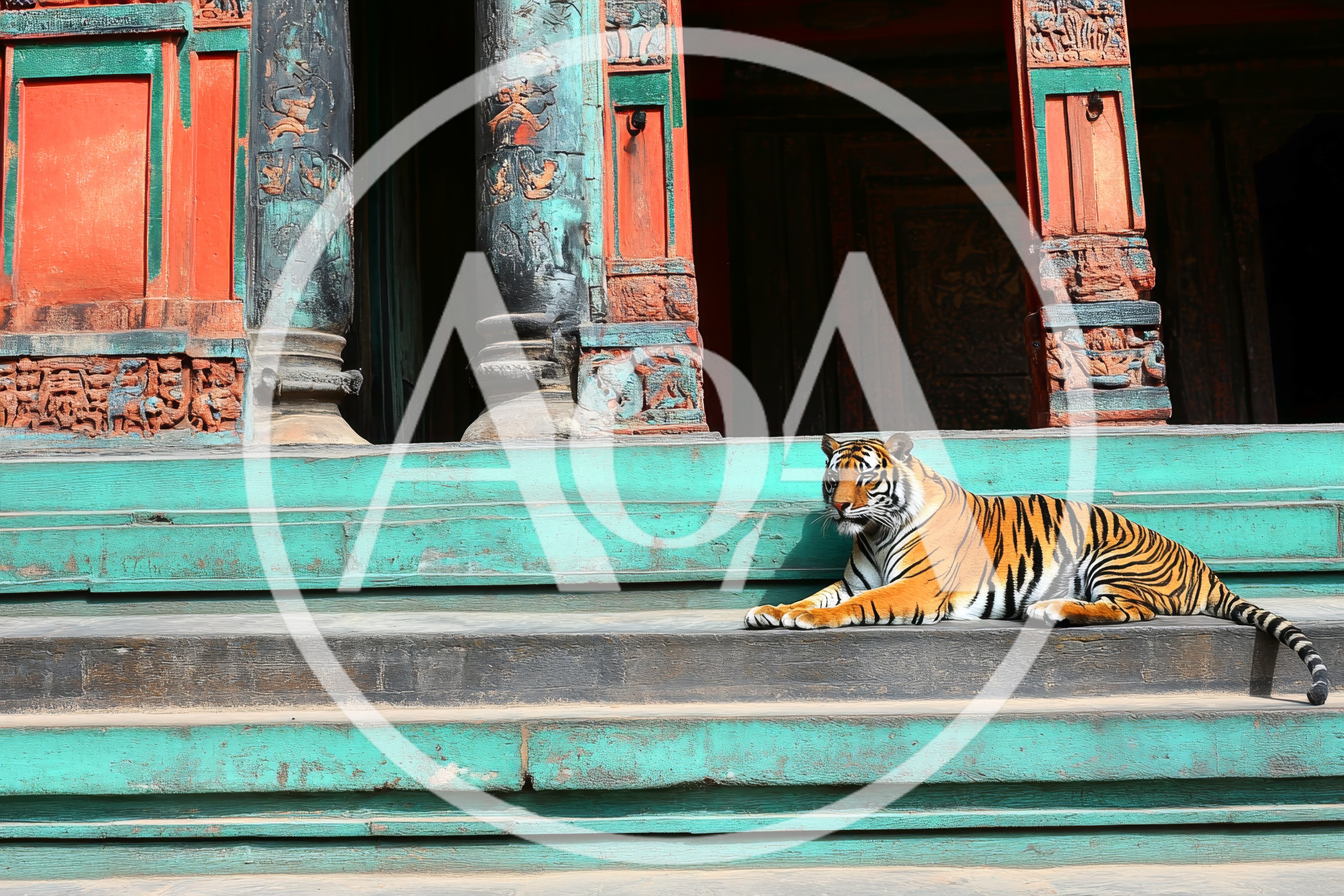 Tiger Resting on Steps of Ancient Temple