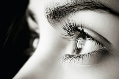 Extreme Close Up Of A Human Eye