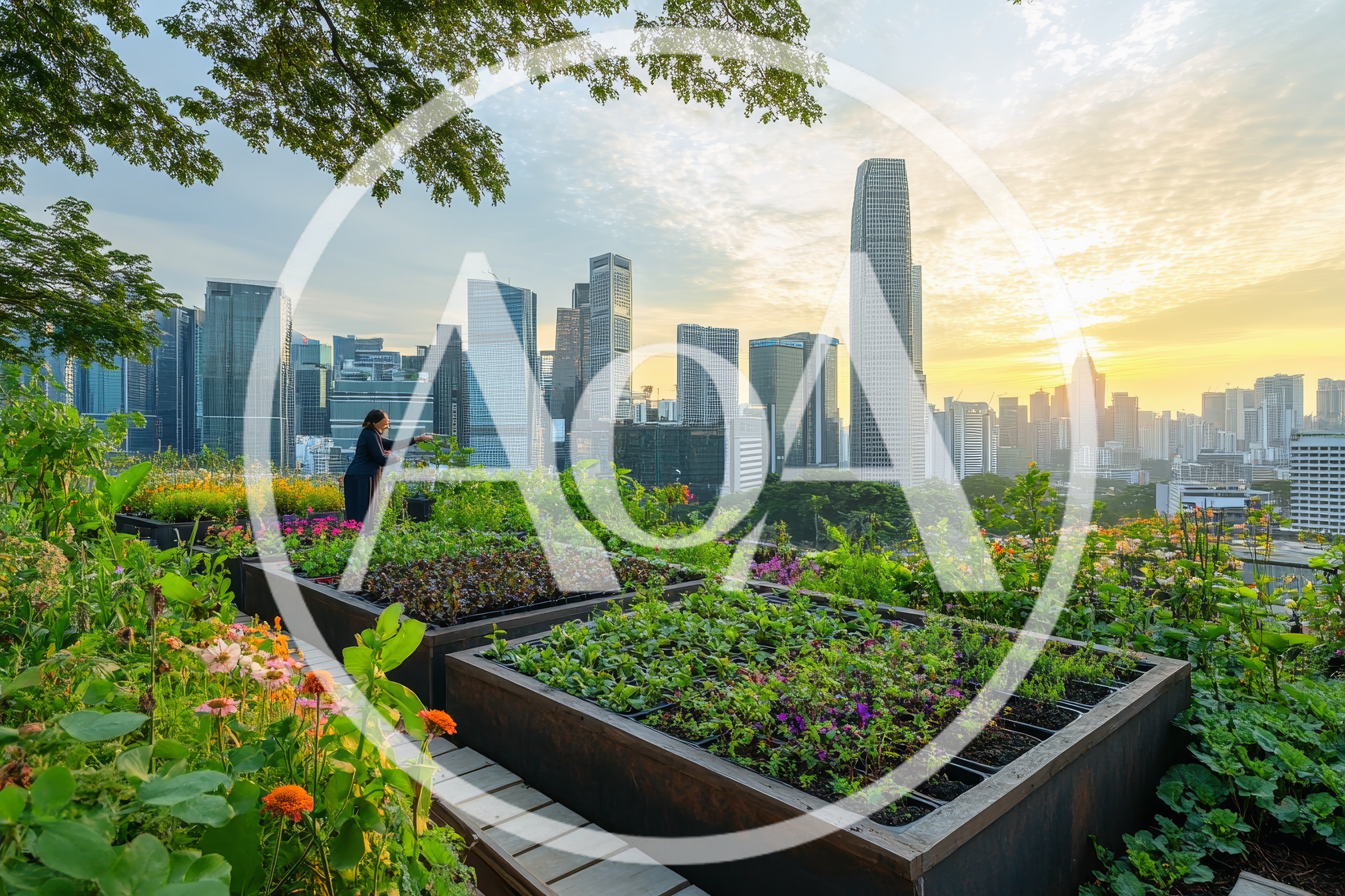 Woman Tending Rooftop Garden Overlooking Modern City Skyline