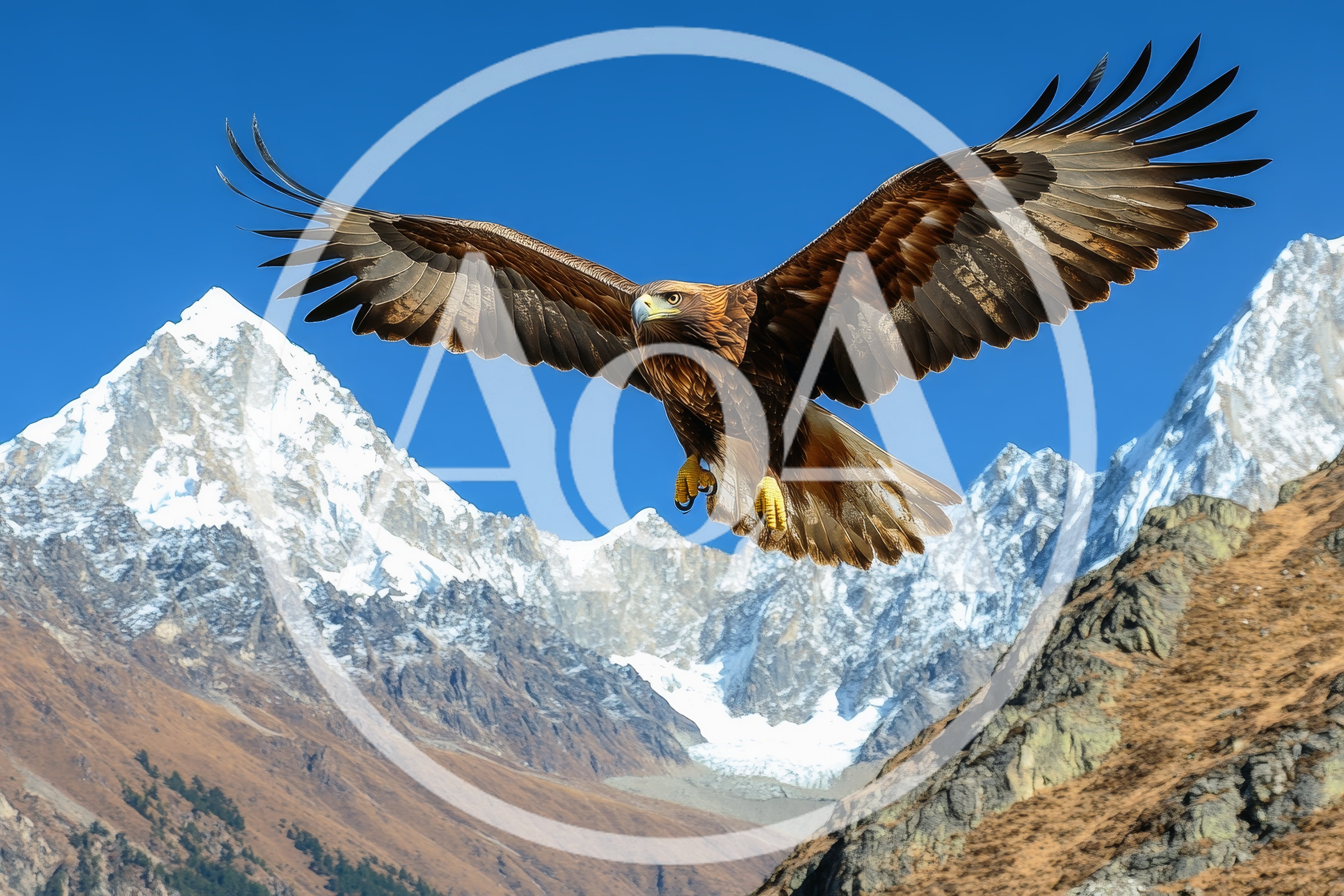 Golden Eagle Soaring Over Snowy Mountain Peaks