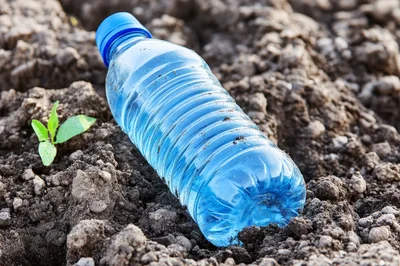 Plastic Water Bottle Discarded in Soil Near Sprout