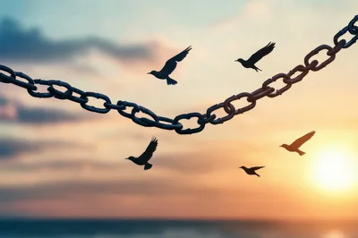 Birds Flying Past A Broken Metal Chain