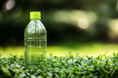 Plastic Water Bottle Standing on Green Bush