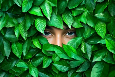 Woman Peering Through Lush Green Foliage