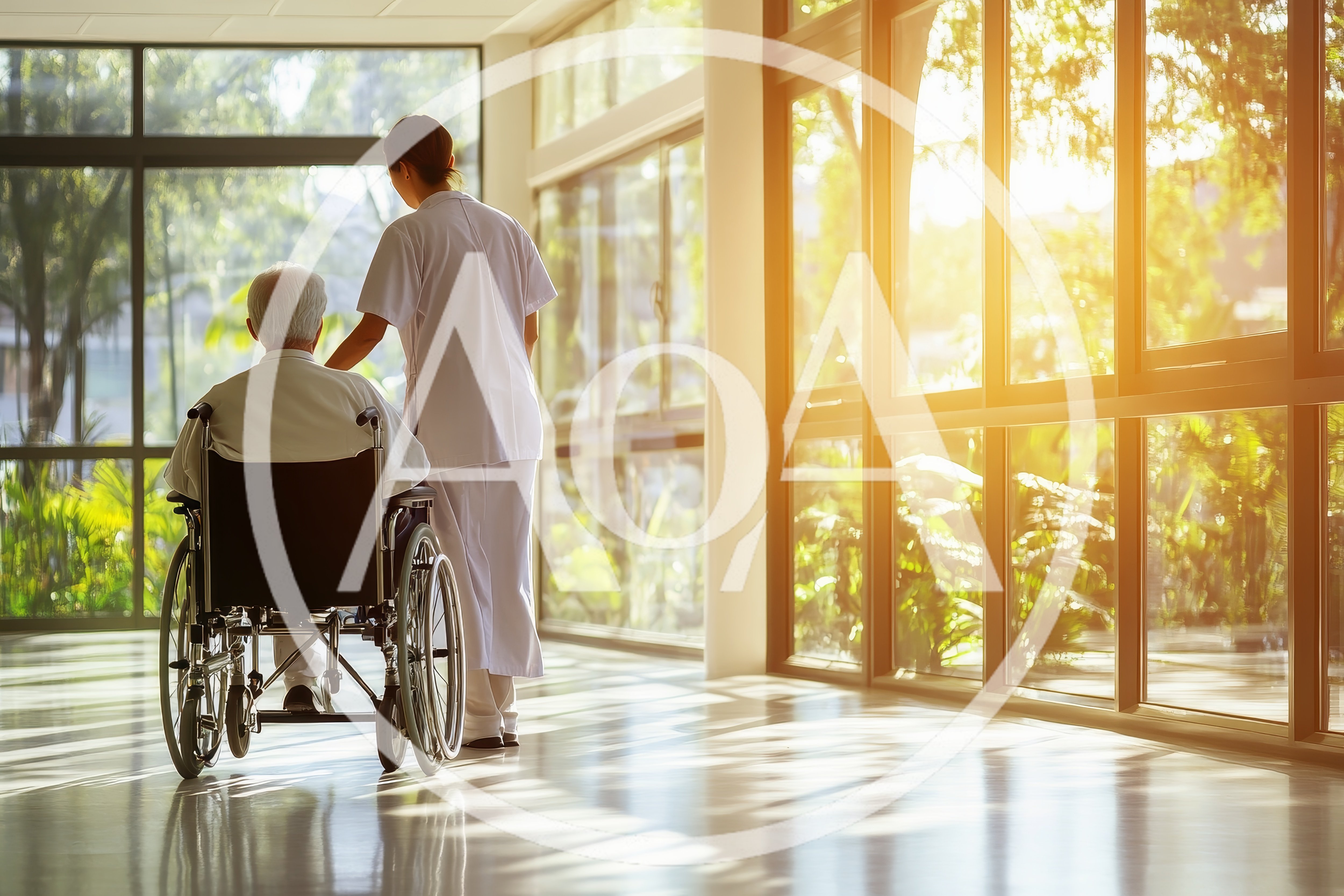 Nurse Assisting Elderly Patient in Wheelchair