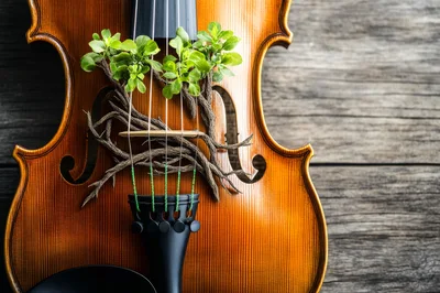 Violin With Tree Roots And Green Leaves Growing