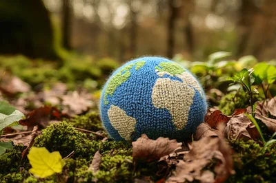 Knitted Earth Globe Resting On Forest Floor