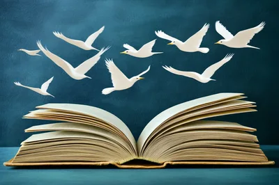 White Birds Flying Out Of An Open Book