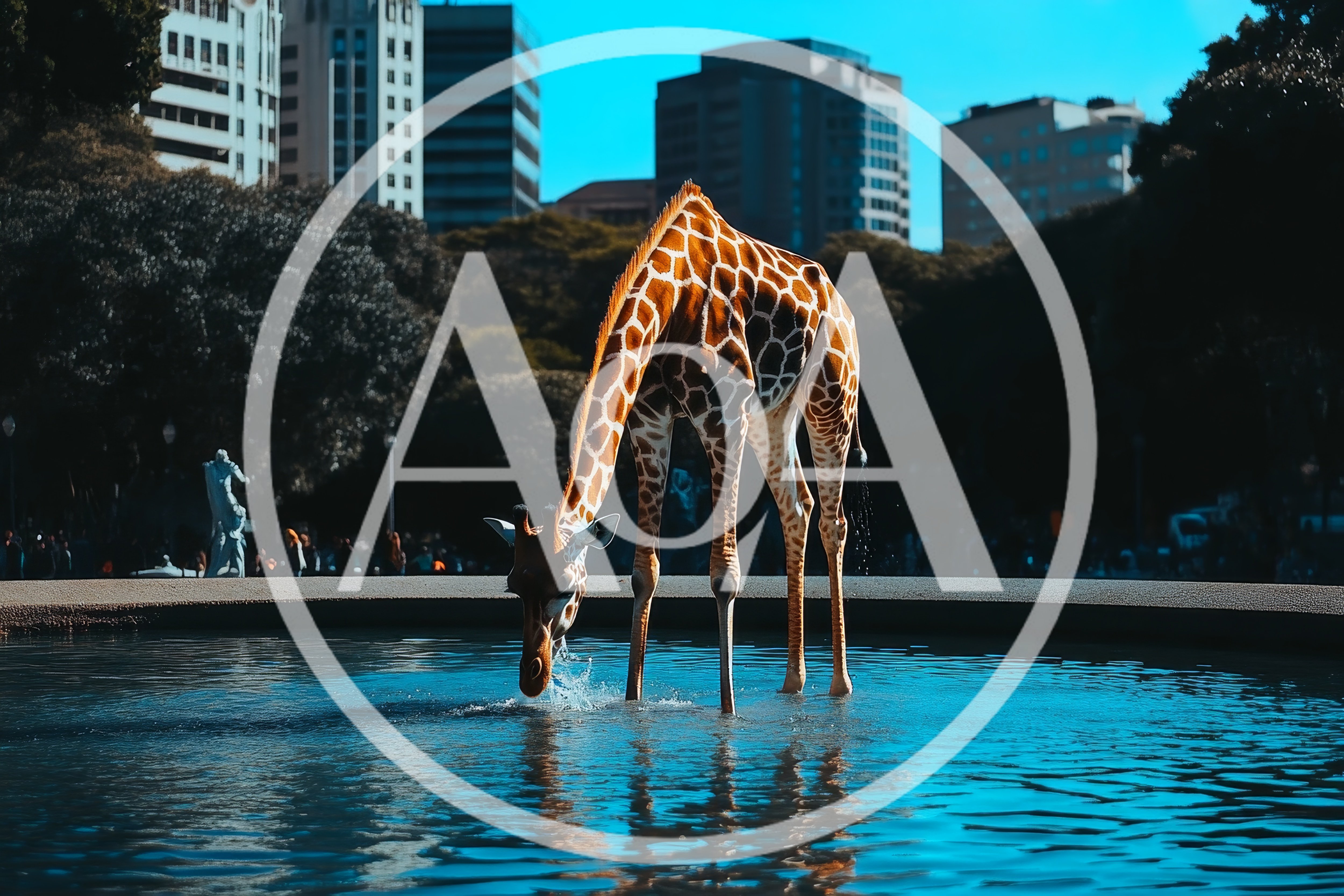 Giraffe Drinking Water In An Urban City Fountain