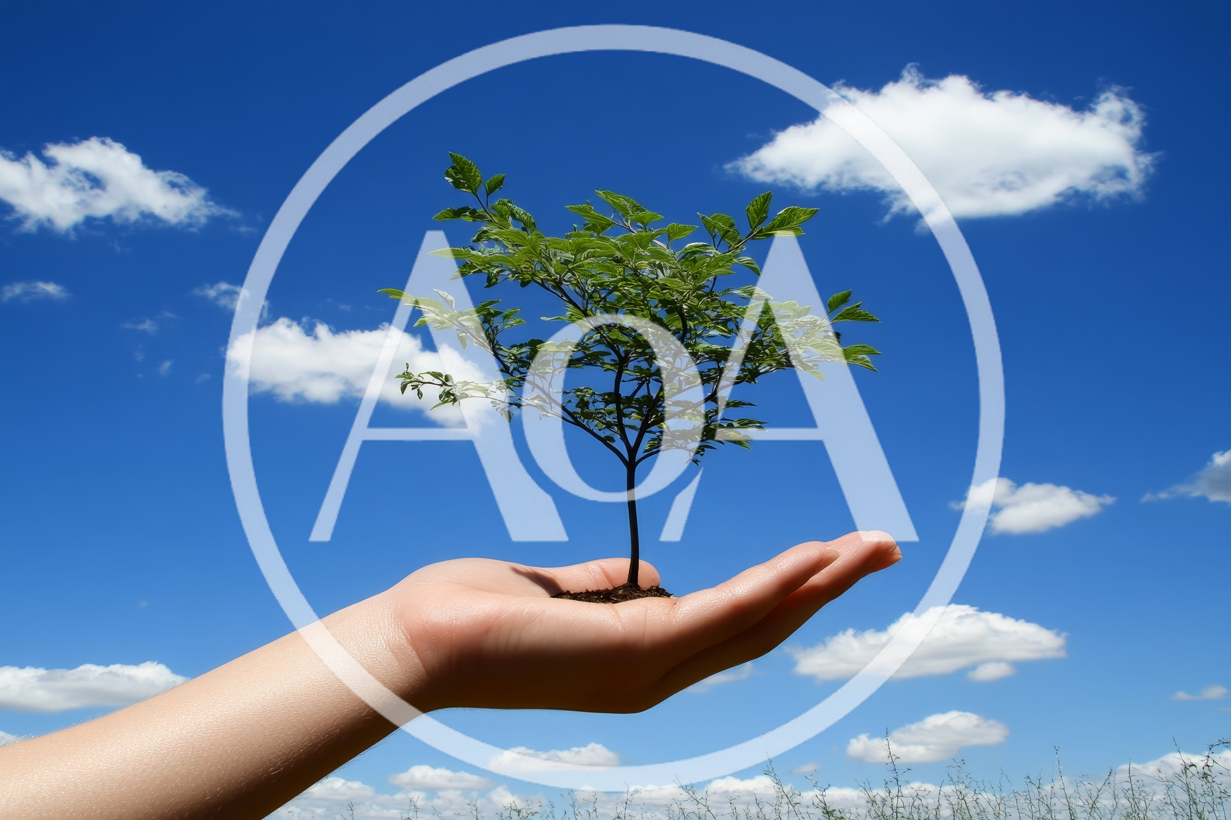 Human Hand Holding A Small Green Tree