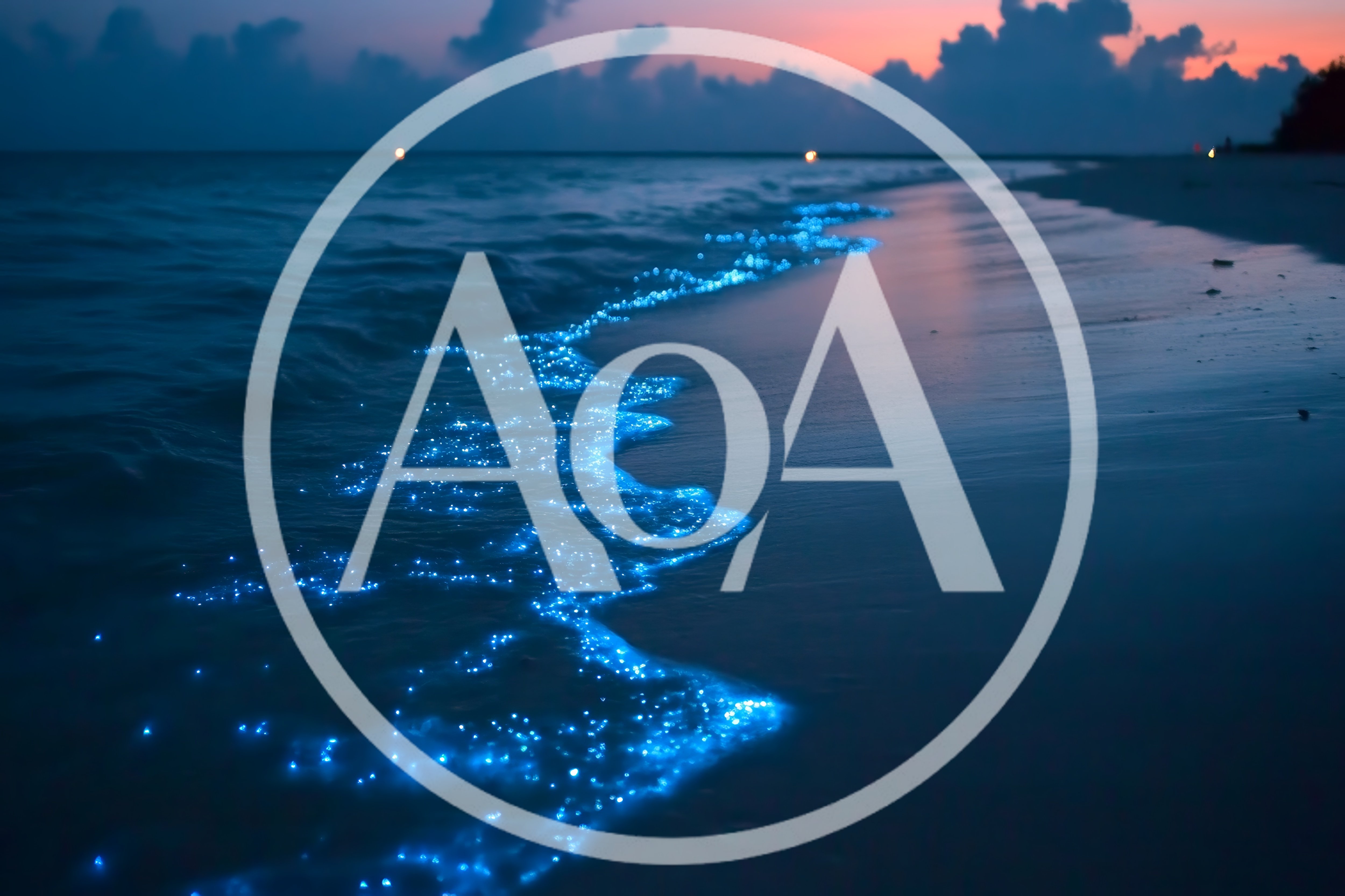 Bioluminescent Waves Glowing On A Tropical Beach At Night