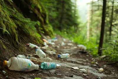 Plastic Waste Littering A Forest Hiking Trail