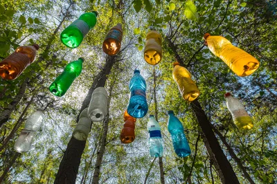 Plastic Bottles Hanging From Forest Trees