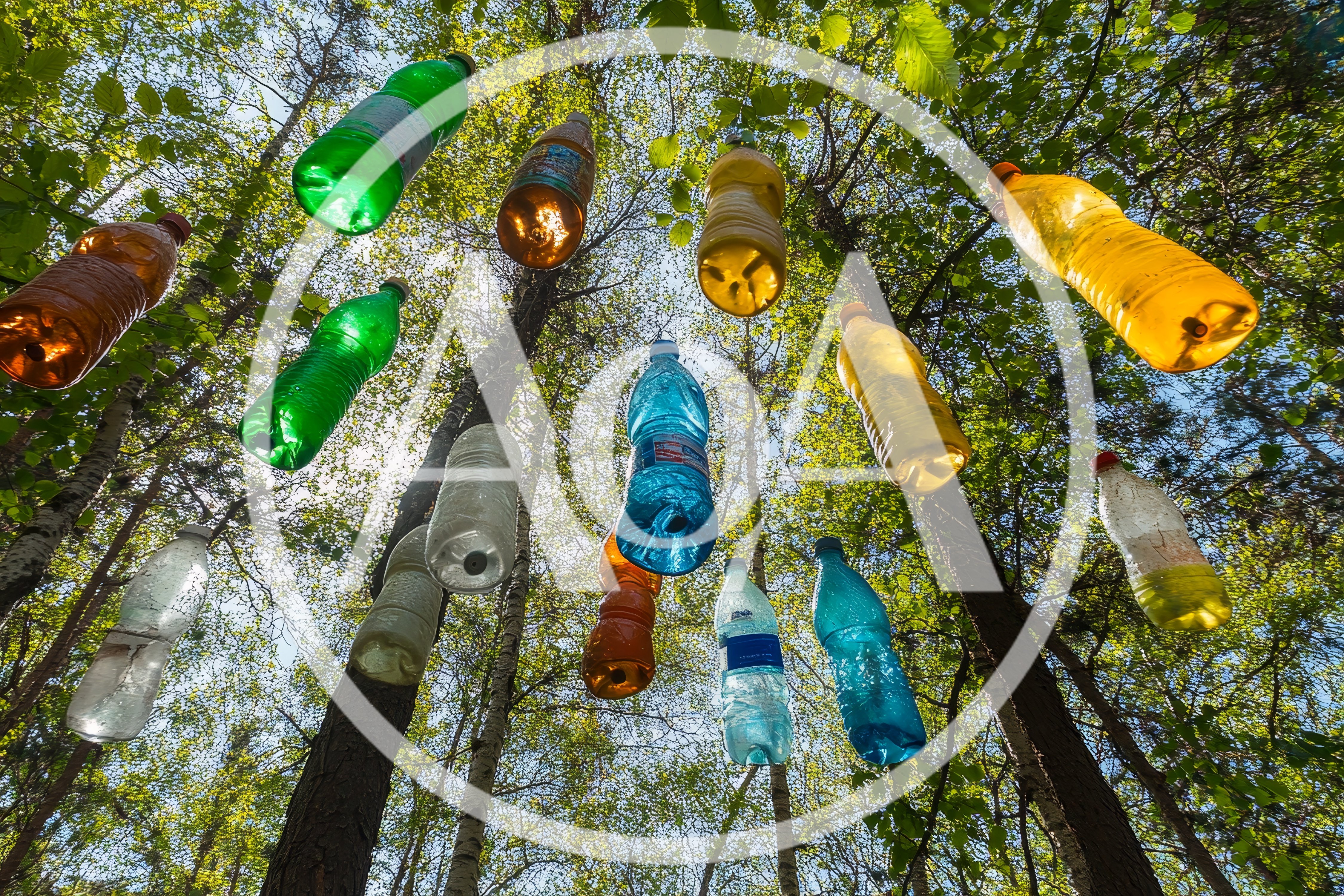 Plastic Bottles Hanging From Forest Trees