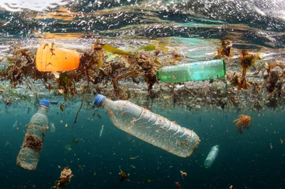 Plastic Pollution Floating In The Ocean