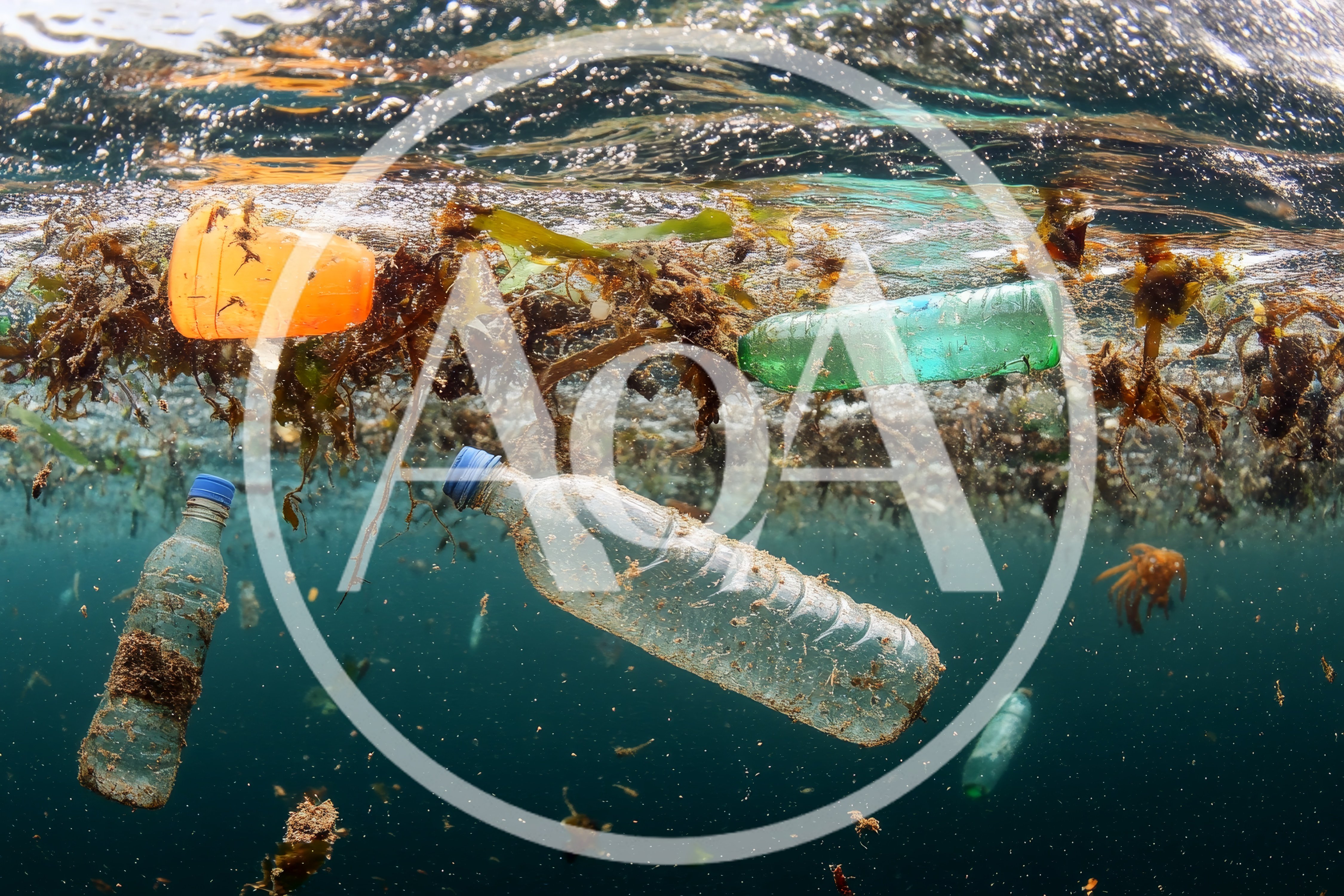 Plastic Pollution Floating In The Ocean