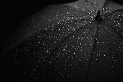 Raindrops On A Black Umbrella Surface