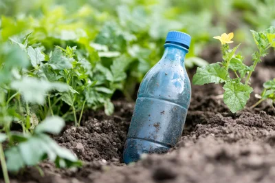 Plastic Bottle Buried In Garden Soil