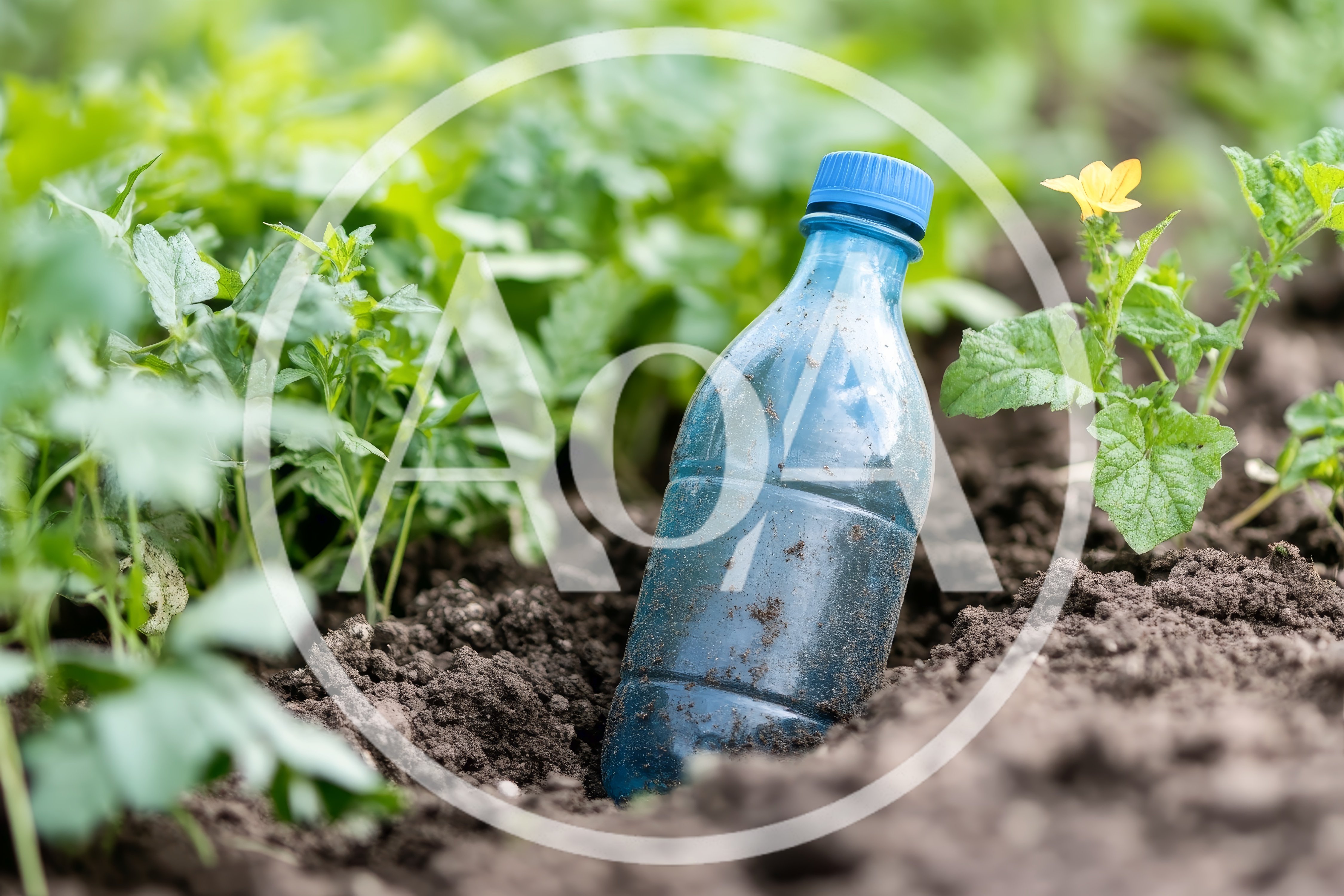 Plastic Bottle Buried In Garden Soil
